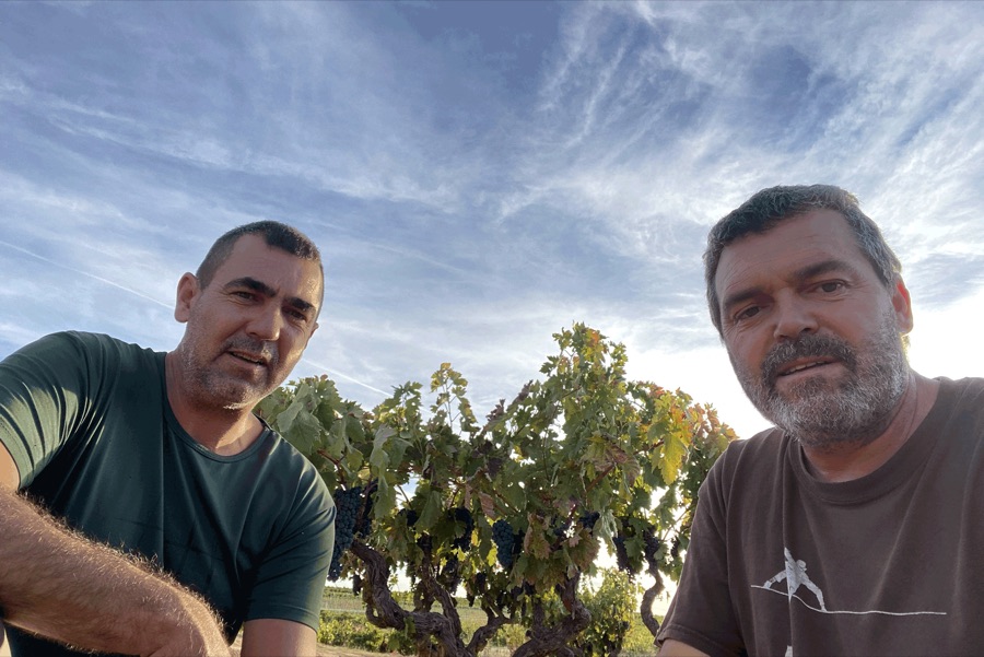 Bodegas Gallego Zapatero