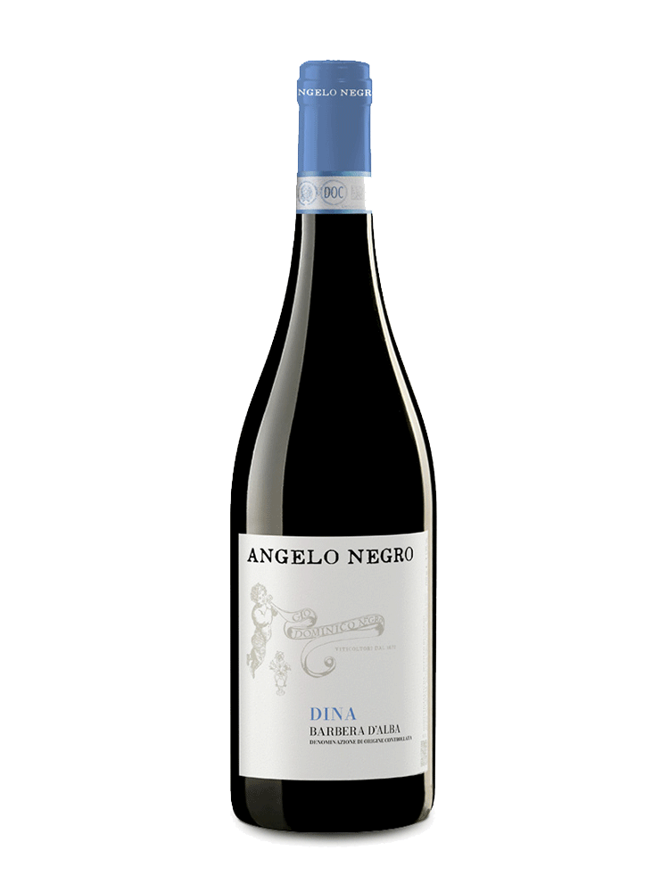Barbera d'Alba Dina DOC 2023
