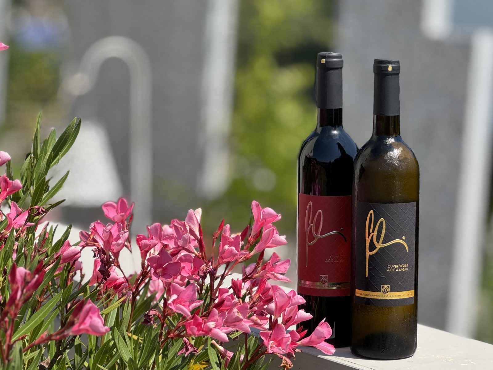 Gefolgt vom eigenen Rotwein